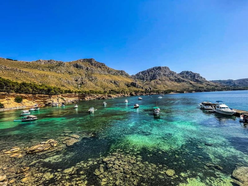 Can Picafort: 2-Hour Boat Tour with Snorkeling & Sea Caves - Is $470 a fair price for two hours?