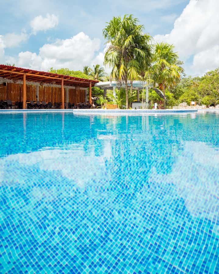 Cancun: Cenotes El Retoño entrance with transportation, lunch, and guided tour. - Swimming in two cenotes