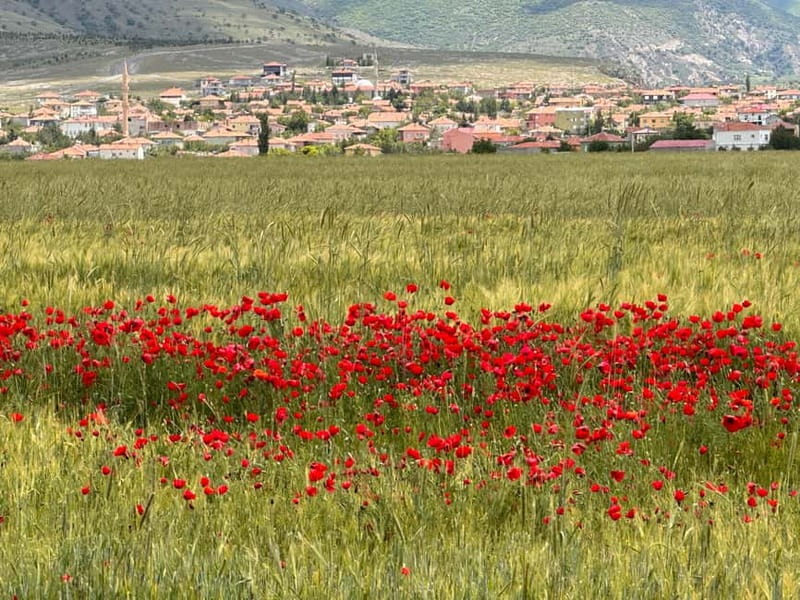 Cappadocia: Green Tour with Derinkuyu Underground City - Lunch in Ihlara Valley, then a canyon walk