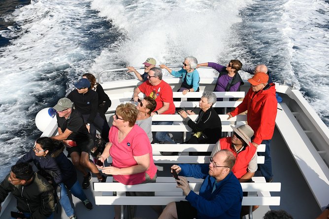 Capri Coast to Coast: Boat Tour with Optional Blue Grotto - Punta Carena and the Faraglioni