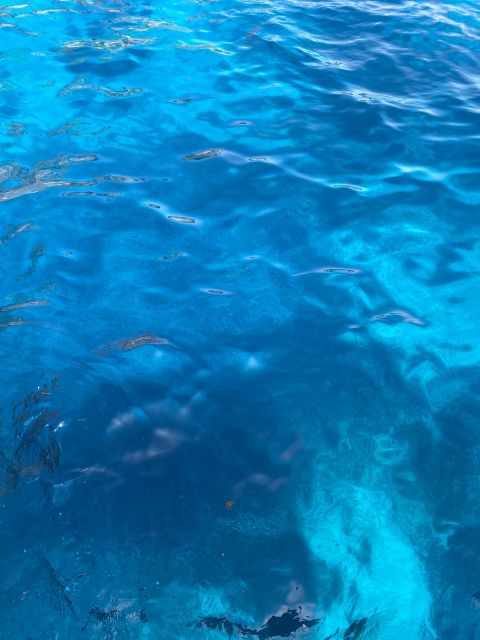 Capri: Tour of the island with caves and Faraglioni - Why seeing Capri from the sea makes sense