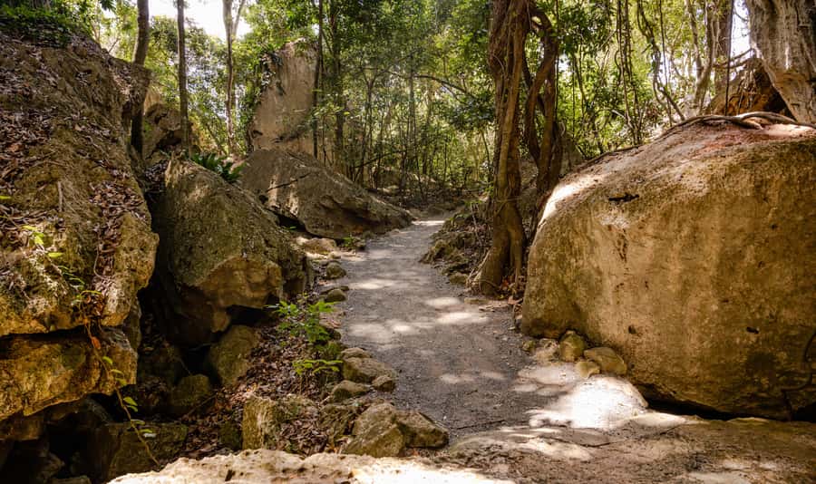 Capricorn Caves, Australia: 45-Minute Cathedral Cave Tour - Arriving near Rockhampton and finding the cave entrance