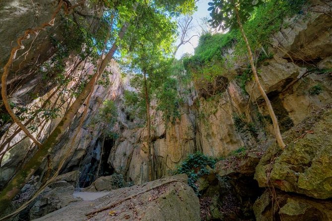 Capricorn Caves Cathedral Cave Tour - What makes Cathedral Cave worth your time