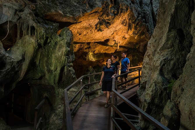 Capricorn Caves Cathedral Cave Tour - Walking into a 22°C limestone cave