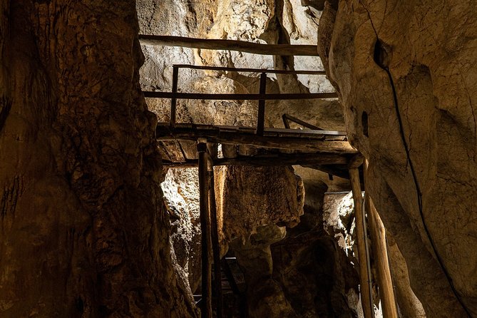Capricorn Caves Cathedral Cave Tour - Limestone, roots, ferns, and small bats
