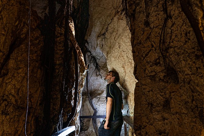 Capricorn Caves Cathedral Cave Tour - Is $28.33 good value for 45 minutes?