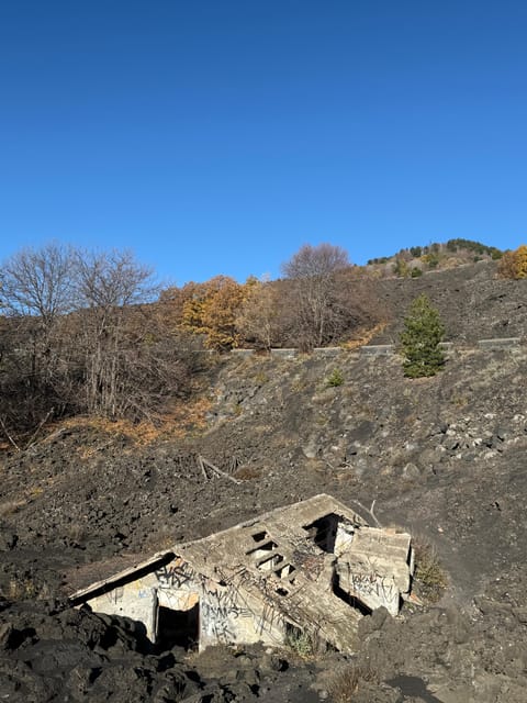 Catania: Morning Jeep Tour of Mount Etna and Lava Flow Caves - Price, comfort, and overall value