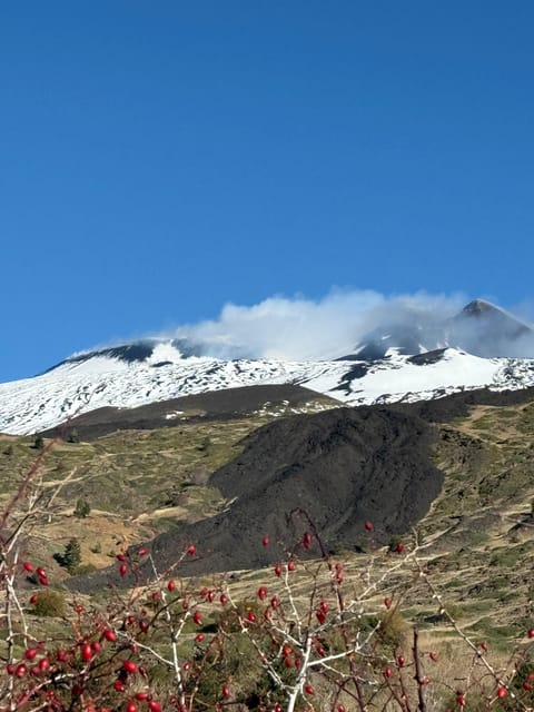 Catania: Morning Jeep Tour of Mount Etna and Lava Flow Caves - Zafferana Etnea and the local tasting