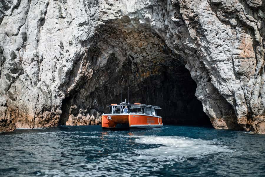 Cathedral Cove Coast and Cave Tour - Snorkeling among snapper in a protected reserve
