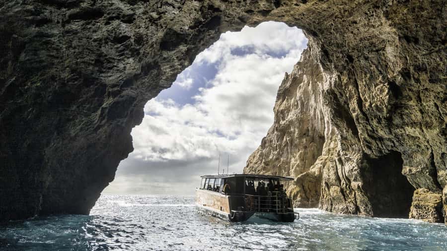 Cathedral Cove Coast and Cave Tour - A boat built for comfort, not just speed