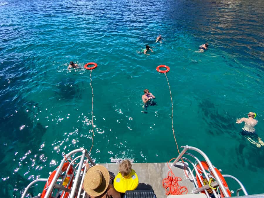 Cathedral Cove Coast and Cave Tour - Who will enjoy this cruise most?