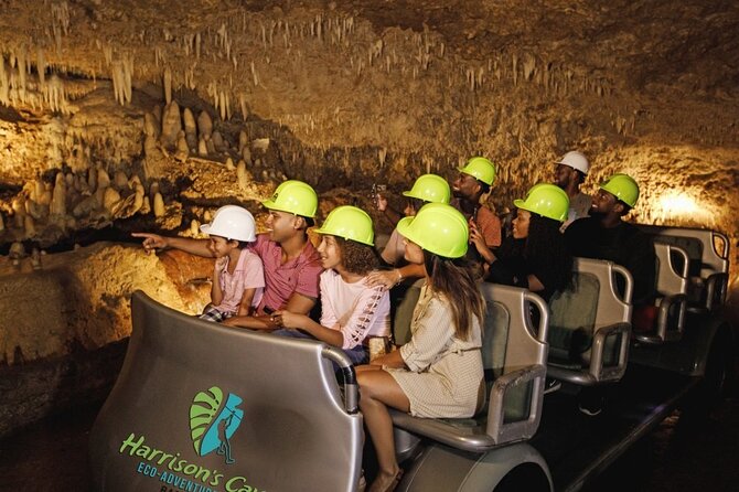Cave & Monkey Zipline Experience at Harrison's Cave by Chukka - Key points to know before you book