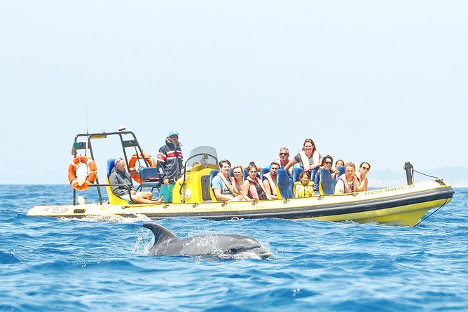 Caves and Dolphin Watching Cruise from Albufeira - Praia São Rafael and Praia da Coelhinha