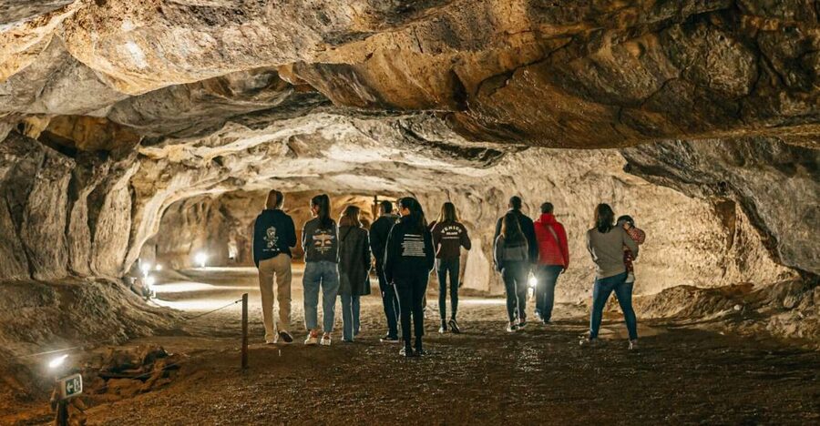 Caves prehistory of Esplugues Francolí with hotel pickup - Key points about the cave excursion