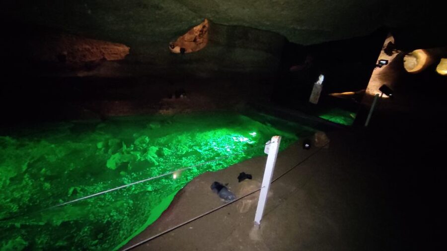 Caves prehistory of Esplugues Francolí with hotel pickup - Why the small group makes a difference