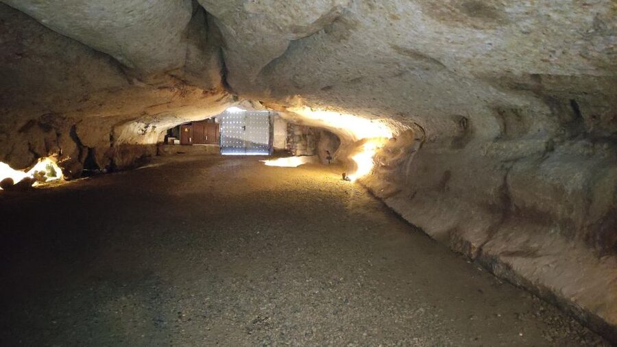 Caves prehistory of Esplugues Francolí with hotel pickup - Who will enjoy this outing most?