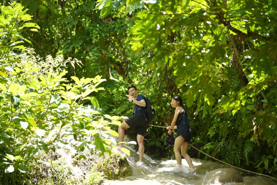 Chiang Mai: Bua Thong Sticky Waterfall & Huge Cave & Buffet - Key points before you book