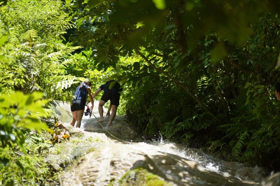 Chiang Mai: Bua Thong Sticky Waterfall & Huge Cave & Buffet - Timing, safety, and the small drawbacks