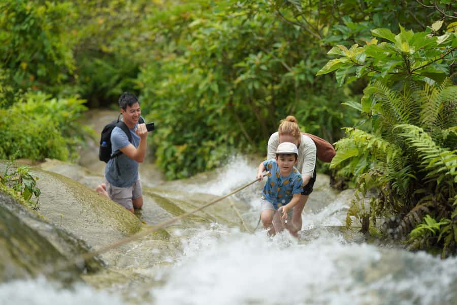 Chiang Mai: Bua Thong Sticky Waterfall & Huge Cave & Buffet - Why Sticky Waterfall is unlike most waterfalls
