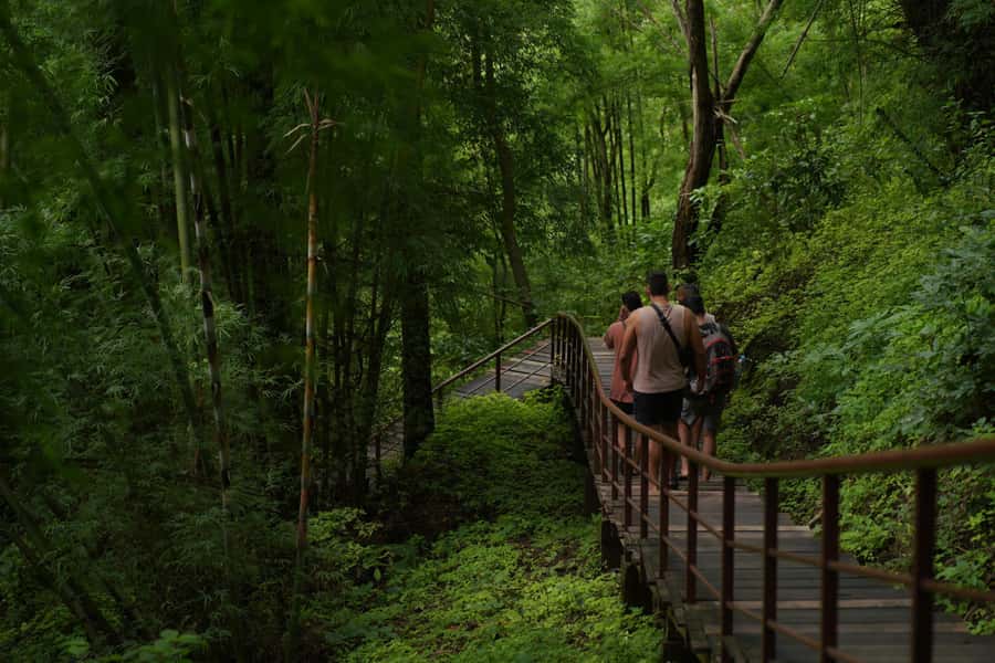 Chiang Mai: Bua Thong Sticky Waterfall & Huge Cave & Buffet - What to bring for a wet, active day