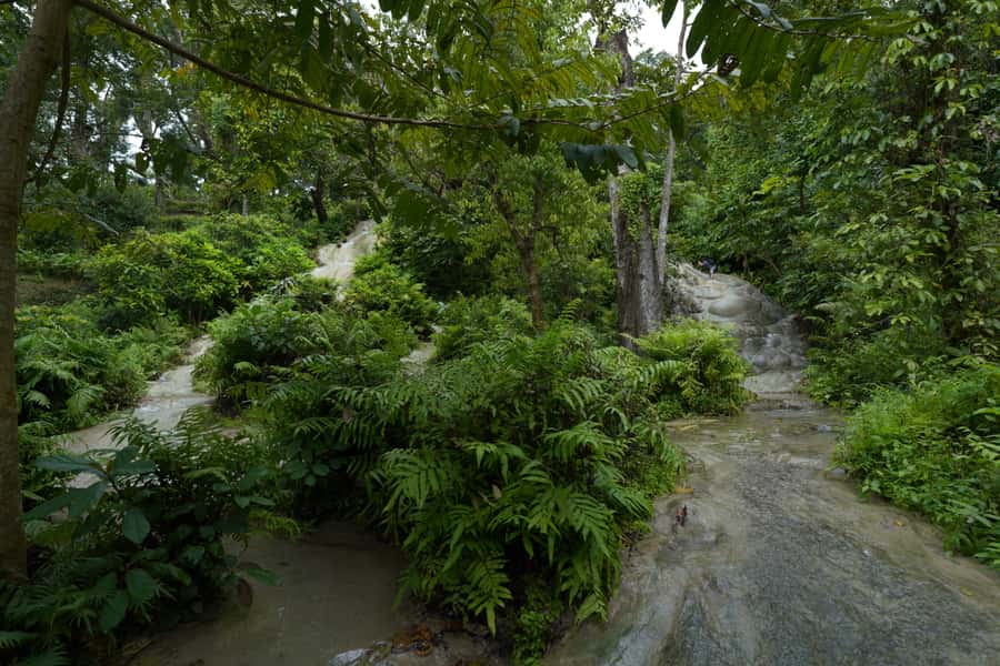 Chiang Mai: Bua Thong Sticky Waterfall & Huge Cave & Buffet - Who will enjoy this tour most