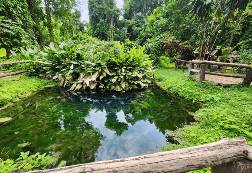 Chiang Mai: Sticky Waterfall, Bua Tong Cave Join Tour - The spring fountain and its spiritual side