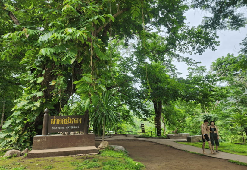 Chiang Mai: Sticky Waterfall, Bua Tong Cave Join Tour - What the private pickup adds