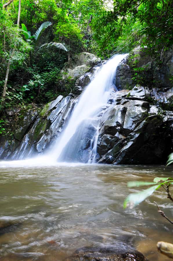 Chiang Mai: Sticky Waterfall & Caves Tour w/ Treehouse Stay - Why this two-day escape feels different