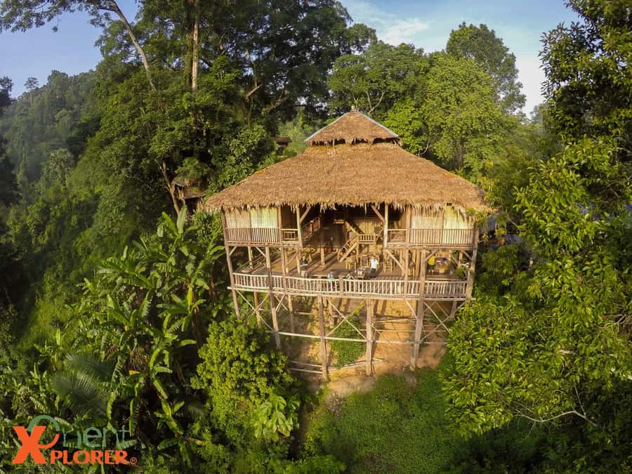 Chiang Mai: Sticky Waterfall & Caves Tour w/ Treehouse Stay - Morning at Bua Thong Sticky Waterfall