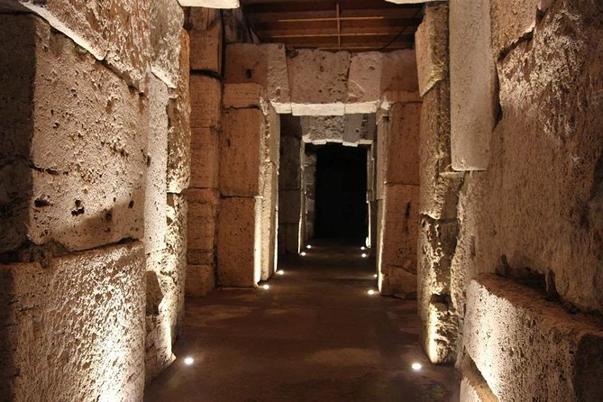 Colosseum Underground & Ancient Rome Guided Tour - Palatine Hill and the view over ancient Rome