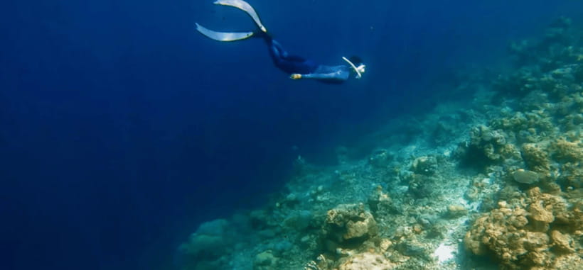 Coron: Pukaway Cave Underground Lake Tour w/Lunch (Shared) - Key points to know before booking