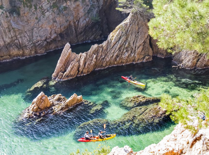 Costa Brava: Sea Caves Kayaking and Snorkeling Tour - What makes this tour worth your time
