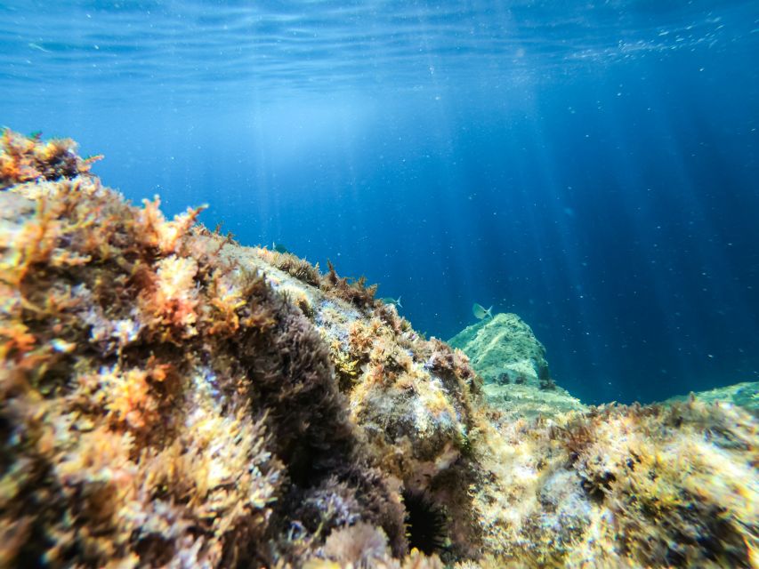 Costa Brava: Sea Caves Kayaking and Snorkeling Tour - The final 40 minutes: more coast, more stories, and the return