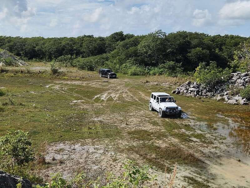 Cozumel: 5-Hour Private Caves and Ruins Tour with Lunch - Meeting your guide and heading east