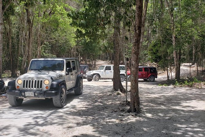 Cozumel Jeep Adventure to Jade Caverns with Lunch and Snorkel - What this Cozumel Jeep tour really offers