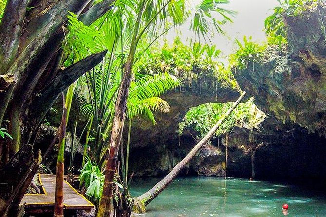 Cozumel Jeep Adventure to Jade Caverns with Lunch and Snorkel - Lunch, snorkeling, and the best part of the afternoon