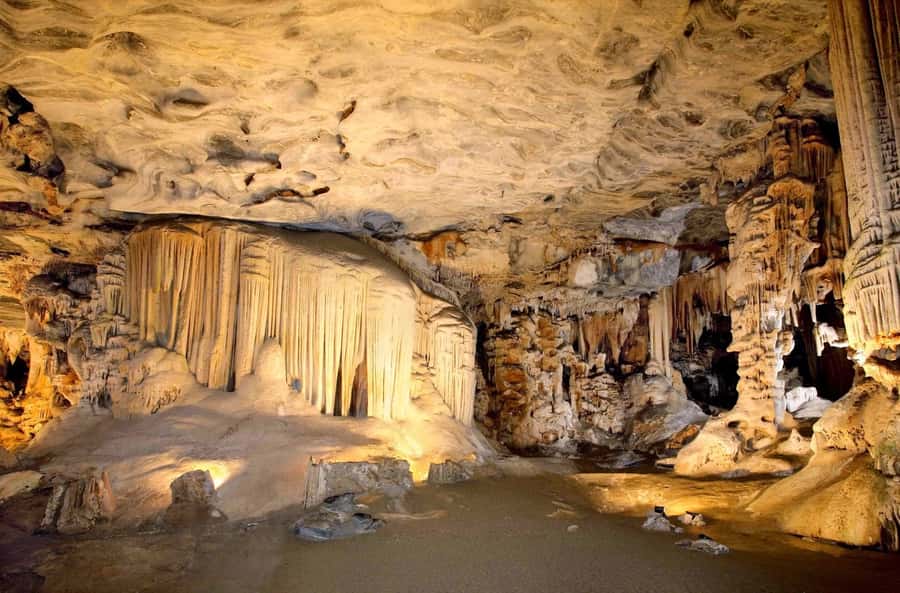Cradle of Humankind and Sterkfontein Caves Half-Day Tour - Key points to know before booking
