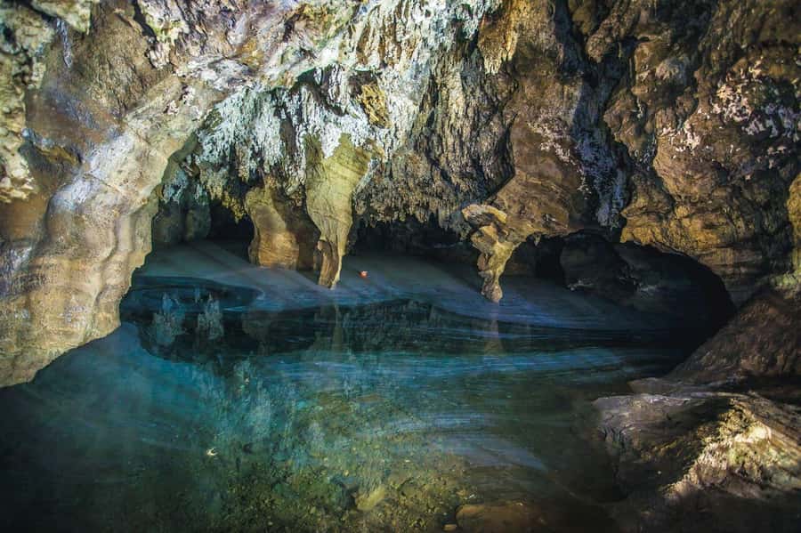 Cradle of Humankind and Sterkfontein Caves Half-Day Tour - Who should book this tour?