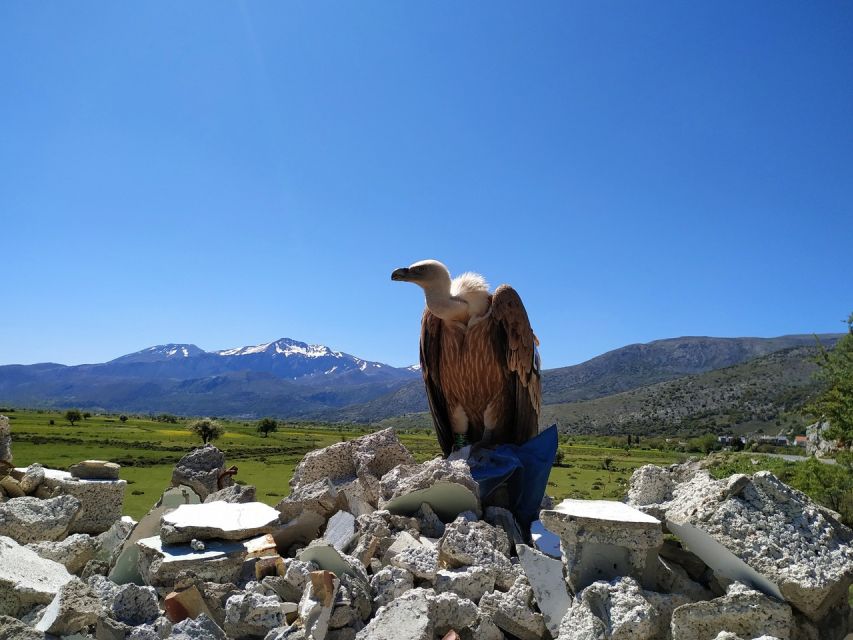 Crete: Lasithi Plateau and Cave of Zeus Off-Road Safari Tour - The ride back through Mochos and Malia