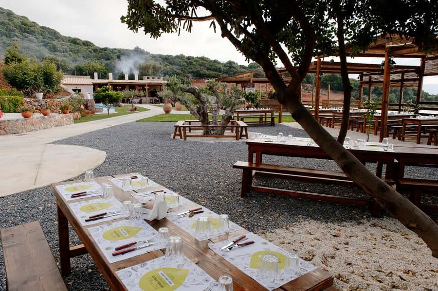 Crete: Road-trip to Lasithi, Zeus Cave & Olive Mill Farm - Should you book the Lassithi and Zeus Cave tour?