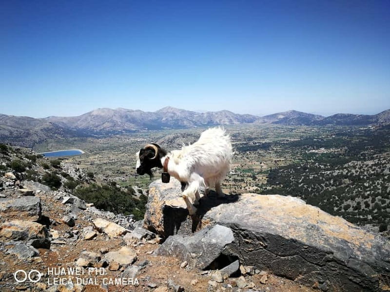 Crete: Zeus Cave, Lassithi Plateau, and Olive Factory Tour - Pottery you can actually try