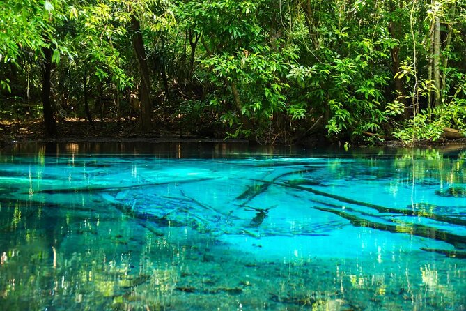 Discover Krabi - Emerald Pool, Hot Springs & Tiger Cave Temple - Quick points before you book
