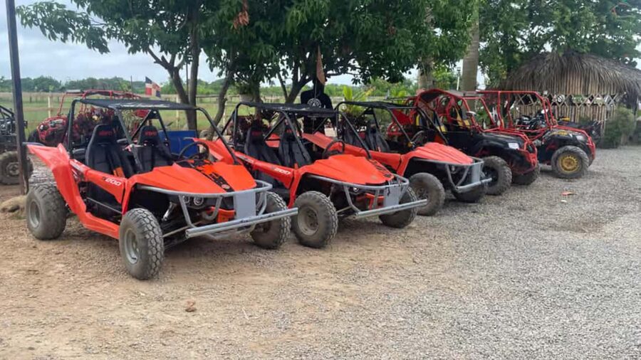 Discover Punta Cana Tour Buggy & ATV Tour Macao Beach Cenote - How the $21 price compares with the experience