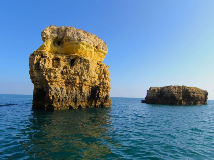 Dolphin Safari and Cave Tour in Vilamoura - A fast boat ride with real sea spray