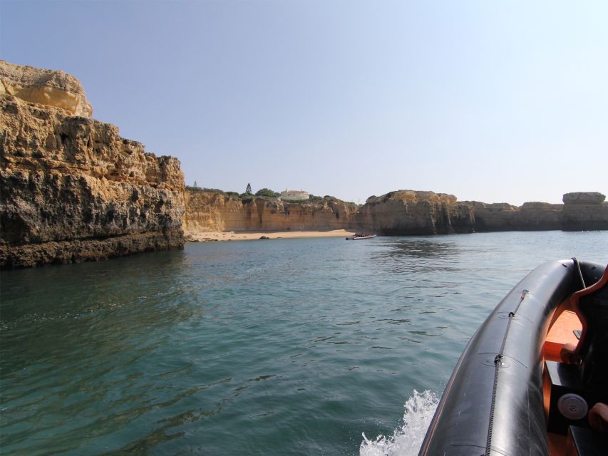 Dolphin Safari and Cave Tour in Vilamoura - Looking for bottlenose and common dolphins