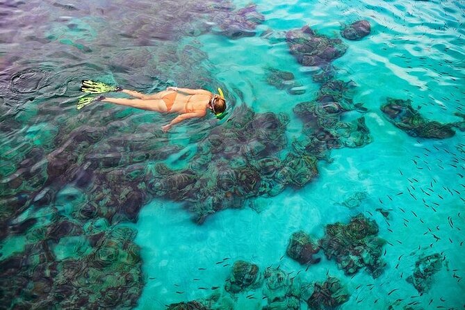 Dolphin, Sea Cave & Captain Cook Snorkel Combo in Kealakekua Bay - The Zodiac ride is part of the attraction