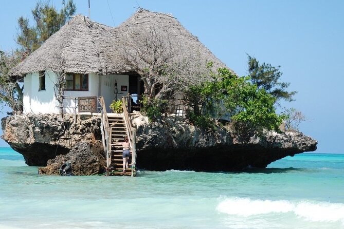 Dolphin tour, Jozani Forest, Jambiani Kuza Cave, Paje Beach &The Rock restaurent - Guides, drivers, and the private format
