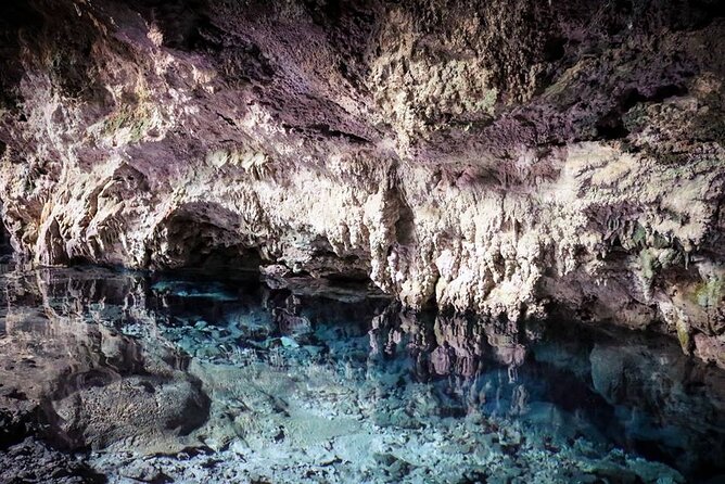 Dolphin tour, Jozani Forest, Jambiani Kuza Cave, Paje Beach &The Rock restaurent - The safety and comfort checklist I would use