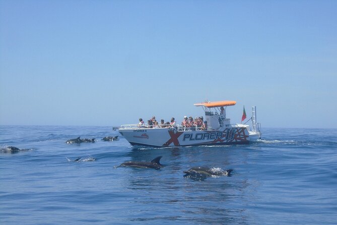 Dolphin Watching and Caves Cruise - From Albufeira Marina toward Benagil