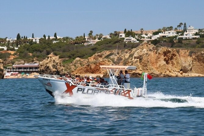 Dolphin Watching and Caves Cruise - What the crew does well